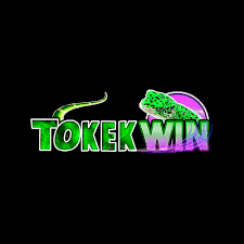 TOKEKWIN - Aplikasi Utility Terbaik untuk Pengguna Indonesia
